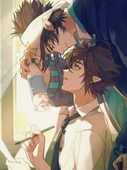 深入了解 芒果视频污污版